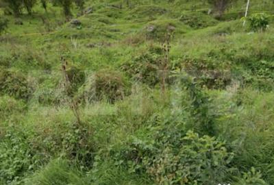 Teren de 5000 mp, în Dej - 1