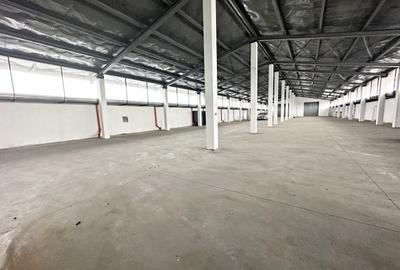 Spațiu industrial, de 5,900 mp, în Exterior Vest - 2