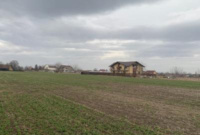 Teren de vanzare Stupini - 5