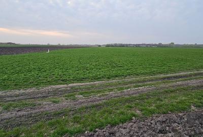 Teren de 6884 mp, în Central - 1