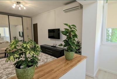 Garsoniera Crangasi - 2