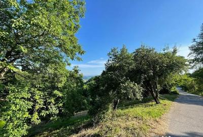 Teren de 9409 mp, în Roșia - 7