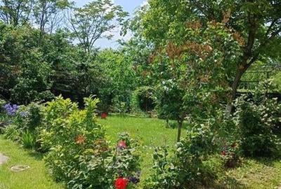 Casa Vila Titan Nicolae Grigorescu - 7