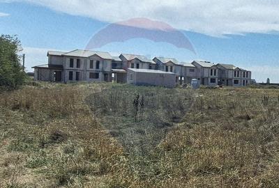 Teren agricol extravilan de 5316 mp, în Aradul Nou - 9