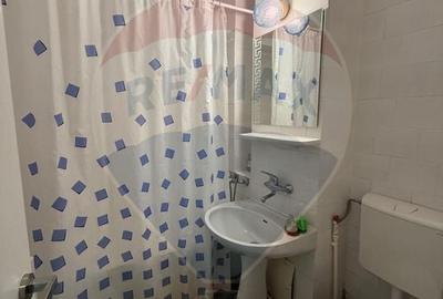 Apartament cu 2 camere de inchiriat in zona Calea Bucuresti - 6