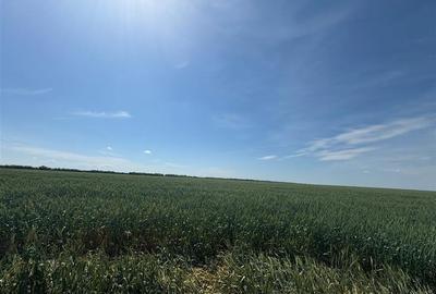 RECO Parcele de Teren Industrial Nojorid - 3