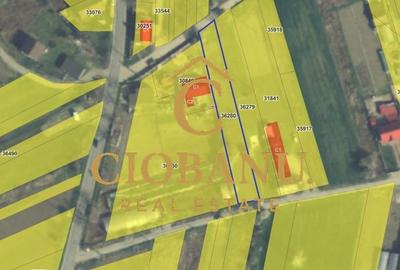 Teren intravilan de vanzare in Isalnita - 4