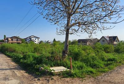 Teren de 2607 mp, în Bârnova - 8