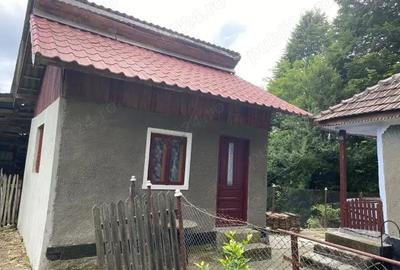 Casă cu 4 camere în Malu cu Flori - 4