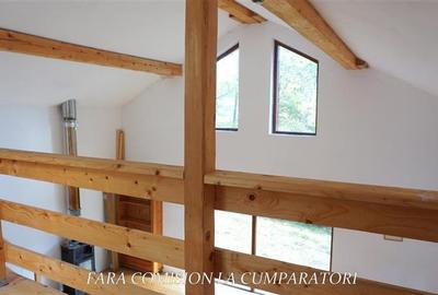 CABANA DE LA MUNTE, UN LOC FERMECATOR - 11