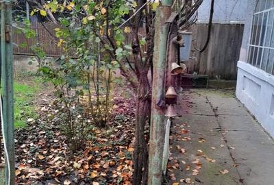 Branesti / IF - casa batraneasca din caramida cu teren de vanzare - 43