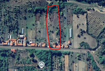 Casă cu Teren 6000 Mp în Bucovăț (Dumbrava) - 2