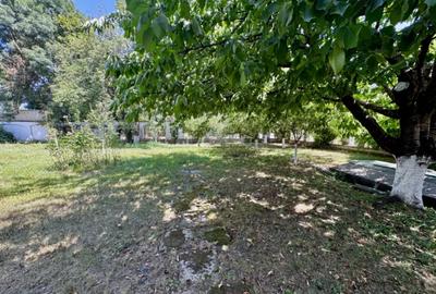 Casă cu 7 camere cu Teren 1150 Mp în Siliștea Snagovului - 17