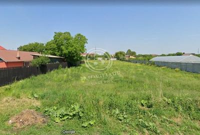 Snagov- Teren Intravilan de Vanzare - 11