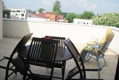 Penthouse 5-room apartment with terrace, Aviatorilor area, TVR, subway access - 2