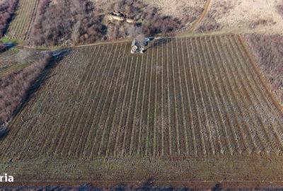 Spațiu comercial, în Covăsinț - 3