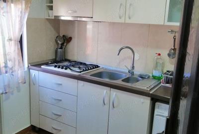 Casă cu 3 camere în Poiana Țapului - 2