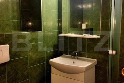 Spațiu comercial, de 450 mp, în Lugojului - 1