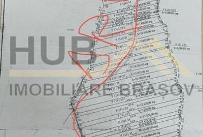 Oportunitate Investitie | Panicel - Rasnov | Extravilan | 29.300mp - 8