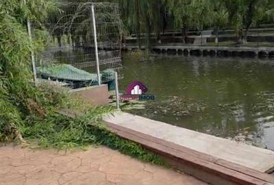 Teren Construcții intravilan de 145 mp, în Snagov - 3