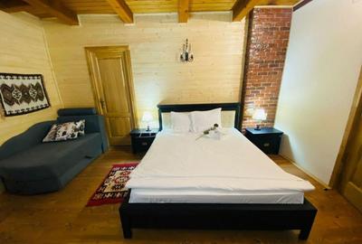 Pensiune traditionala cu clientela formata, Viseu de Sus, Ma - 16