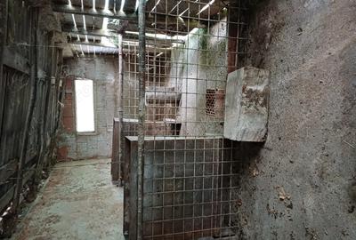 Ferma de vaci de vanzare - 1