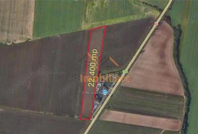 Teren de 22400 mp, în Calea Aradului - 1