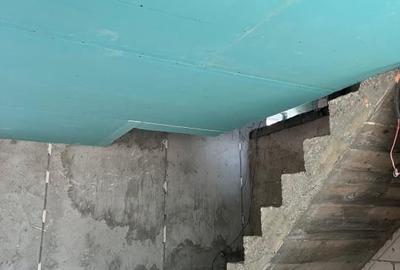 Casă individuală cu 5 camere cu Teren 8000 Mp în Ibănești - 6