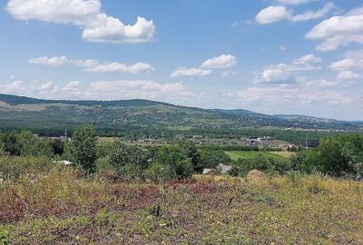 Teren de 6310 mp, în Curături - 1