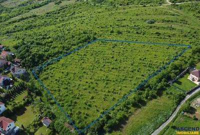 FILM!Oportunitate: 8.500mp, recomandat investitional dezvoltare,Livezeni, Mures - 11