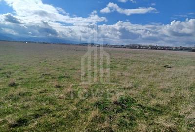 Teren agricol intravilan de 7000 mp, în Turnișor