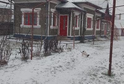 Casă cu 3 camere cu Teren 950 Mp în Teiș - 1