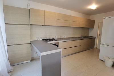 Vilă in zona Iancu Nicolae - 7