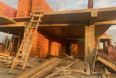 Vand vila exclusivista in Dumbravita padure 200000euro Vand vila exclusivista in Dumbravita padure 200000euro - 3