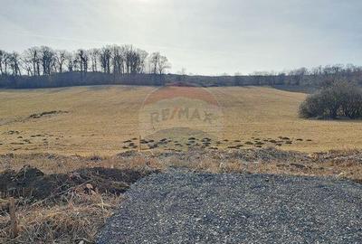 Teren pentru contructie Reghin / Strada Pometului - 12