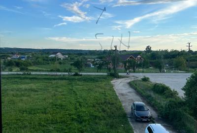 Teren de 4365 mp, în Drăguțești - 3