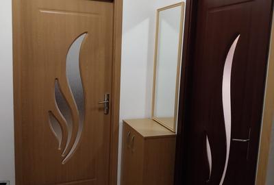 Inchiriere apartament 3 camere Colentina-Teiul Doamnei - 3