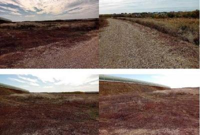 Teren extravilan Albota cota parte 3/8 . ID: R2832826 - 13