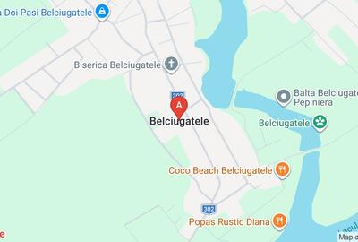 Teren Construcții intravilan de 4000 mp, în Belciugatele - 8