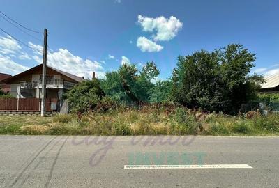 Teren 16534 mp pentru dezvoltare rezidențială, Siliștea Snagovului Teren 16534 mp pentru dezvoltare rezidențială, Siliștea Snagovului - 1