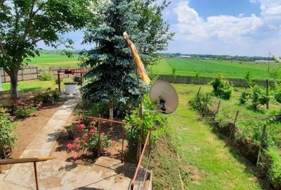 Casă individuală cu 5 camere cu Teren 1480 Mp în Glodeanu Sărat - 12