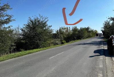 Teren de 6700 mp, în Butimanu
