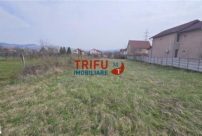 Teren de 1050 mp, în Cetate - 2