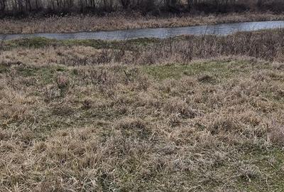 Teren de 110000 mp, în Petrești - 2