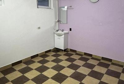 Casă cu 6 camere cu Canalizare în Delfinariu - 10