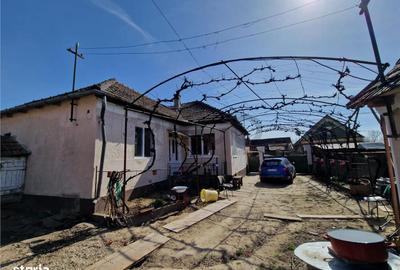 Casă cu 3 camere cu Teren 2230 Mp în Saca - 3