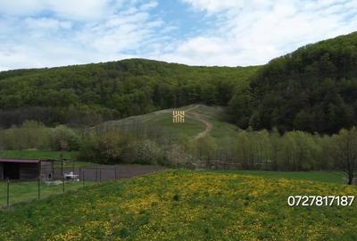 Casă cu 7 camere cu Teren 1300 Mp în Pătrăuți - 11