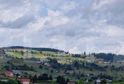 Teren de 9814 mp, în Mănăștur