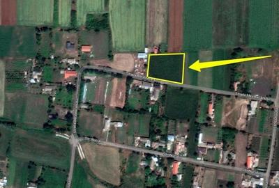 Teren de 3000 mp, în Frecăței - 2