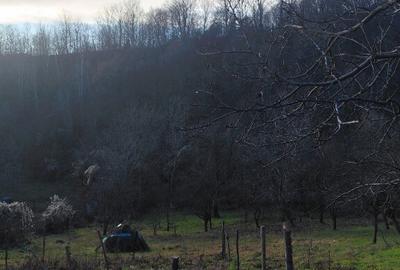 Vand casa 3 camere zona munte - 17